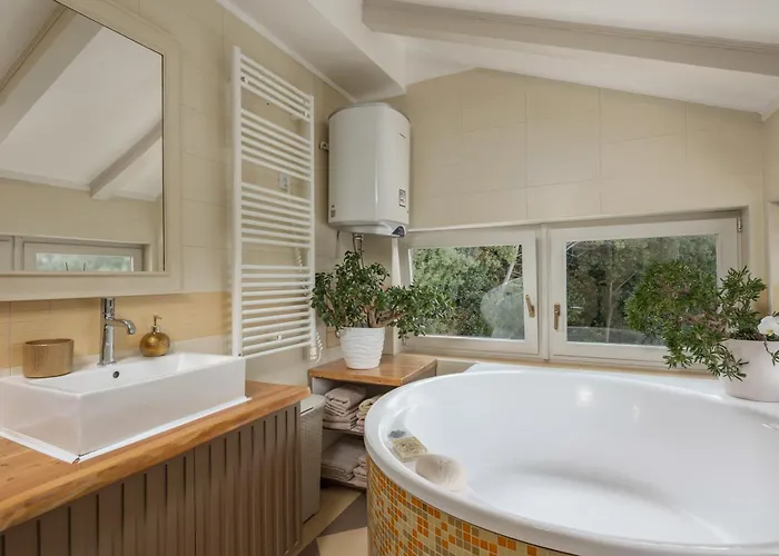 Holiday home Nika With Private Swimming Pool In Kastav